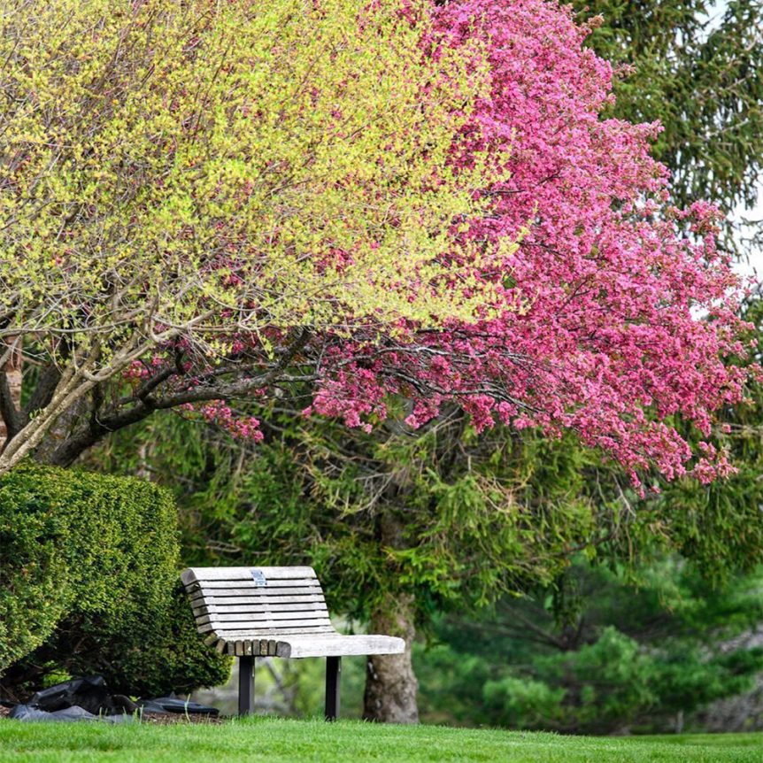 Join Us at Art of Improvisation